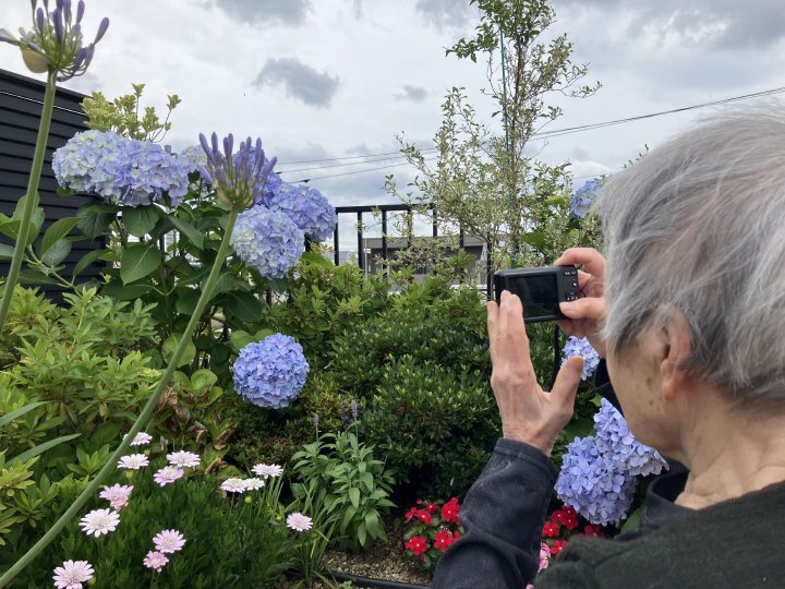 紫陽花が彩る、カメラ日和