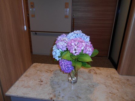 sya-ajisai_20220628-5.jpg