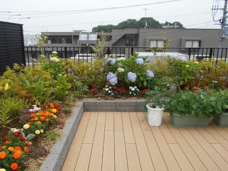 sya-ajisai_20220628-61.jpg