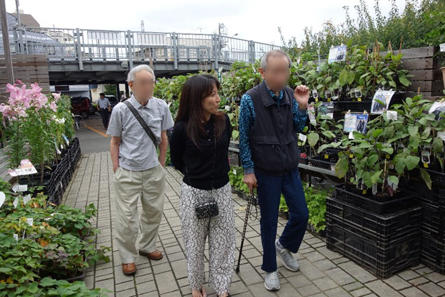 syakujii-flower_20190731-1.jpg