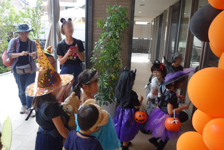 syakujii-halo_20191101-4.jpg