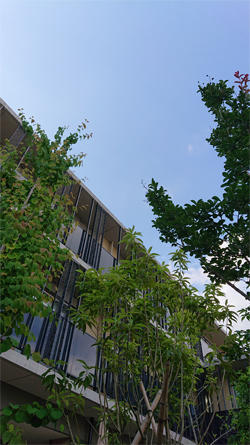 syakujii-kami_20200608-1.jpg