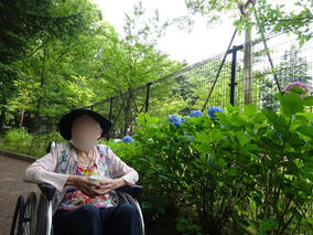 お散歩＠石神井公園