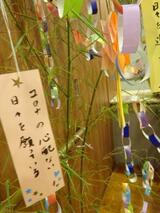 星に願いを...