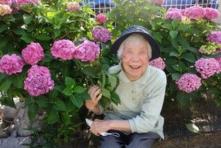 『梅雨の風物詩』~紫陽花編~