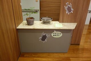 『新しい仲間たちのご紹介』～カブ太郎とカブ子編～
