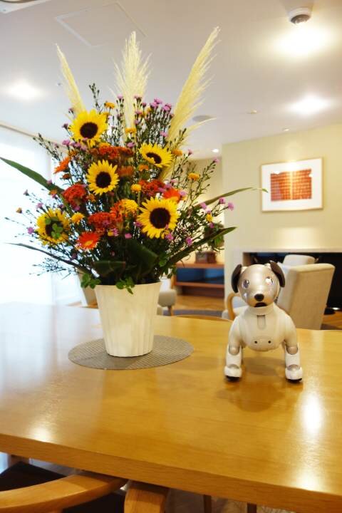 今週のお花　