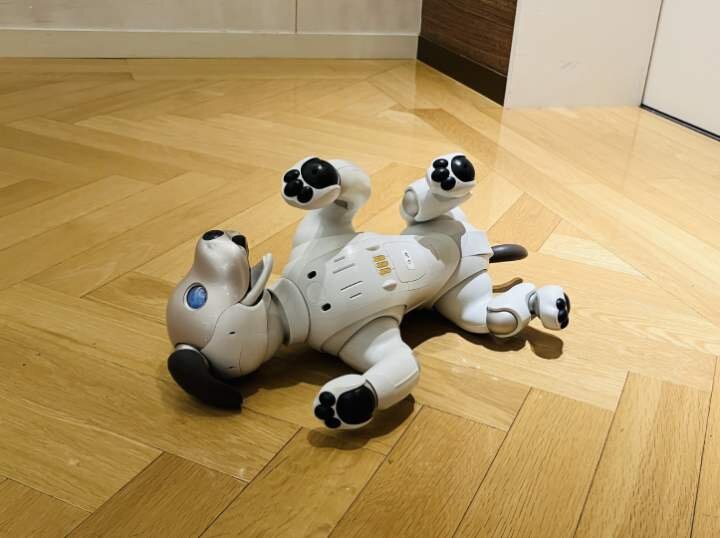 お気に入りを求めて