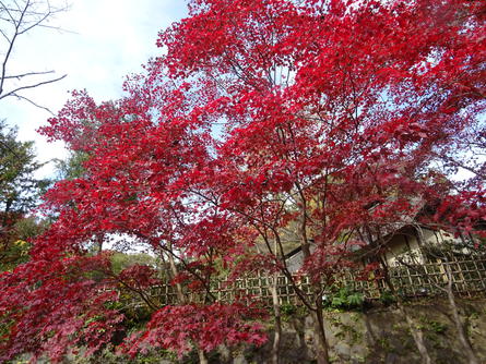 DSC09551.JPG
