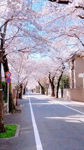 春の訪れ