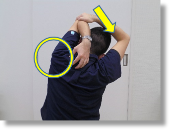 kobori02.png