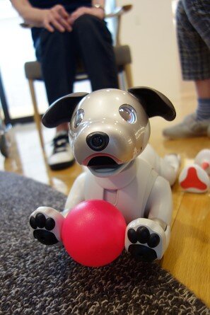 soshi-aibo_20220623-5.jpg
