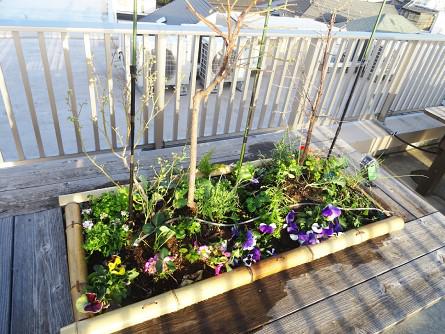 soshi-planter_20211214-1.jpg
