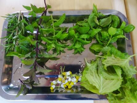 soshi-planter_20211214-10.jpg