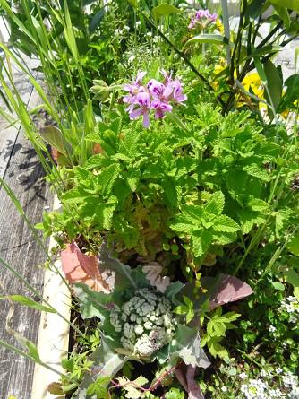 soshi-planter_20211214-3.jpg
