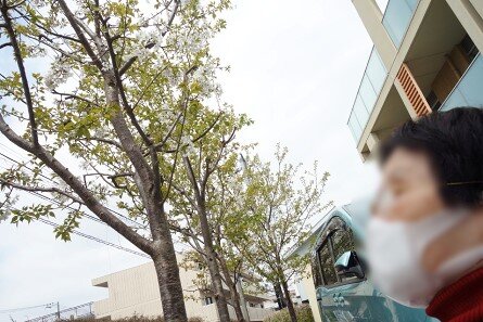 soshi-sakura_20220509-2.jpg