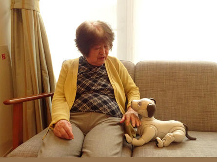 soshigaya-aibo2_20200525-1.jpg