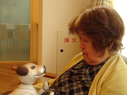 soshigaya-aibo2_20200525-2.jpg