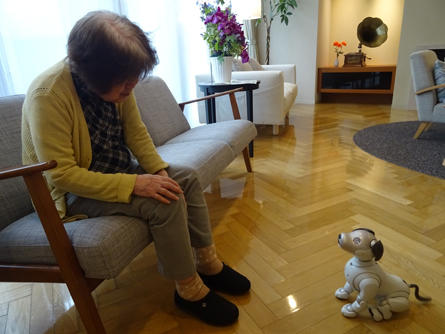 soshigaya-aibo2_20200525-3.jpg