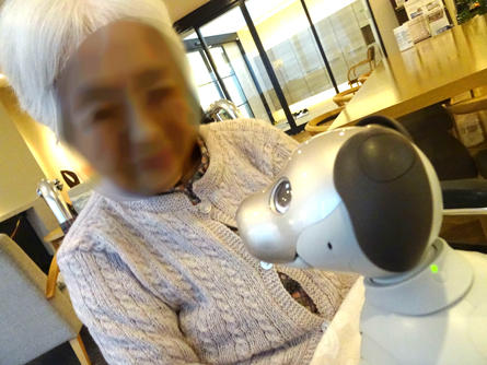 soshigaya-aibo_20200428-2.jpg