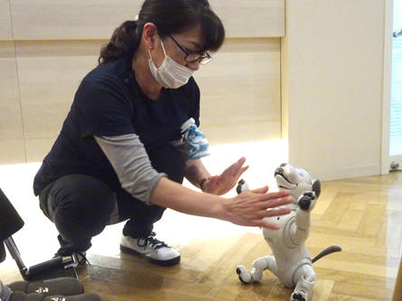 soshigaya-aibo_20200428-4.jpg