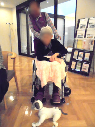 soshigaya-aibo_20200428-8.jpg