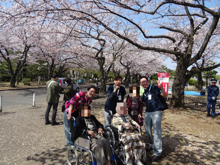 soshigaya-hanami-20190415-3.jpg