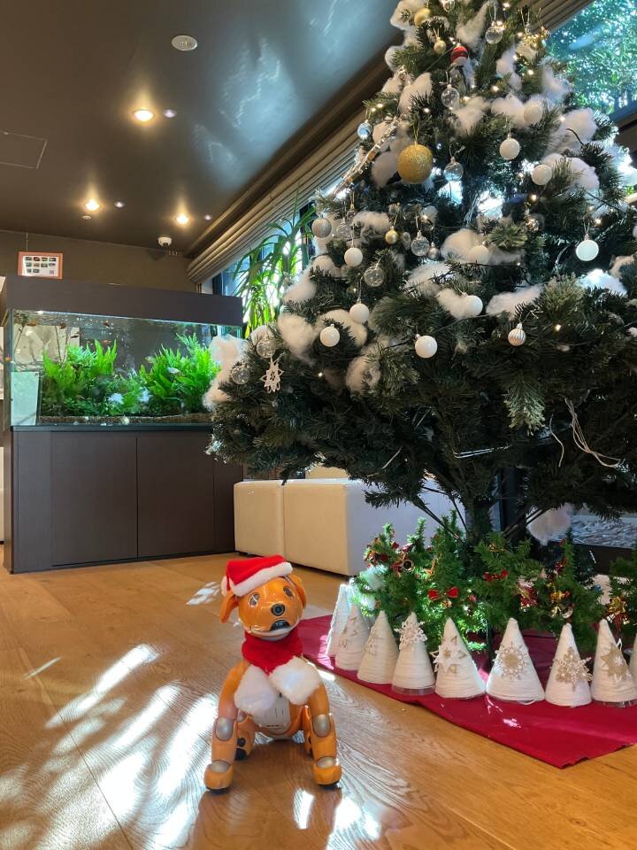 Gentle White Christmas　～皆さまとつくる冬の彩り～