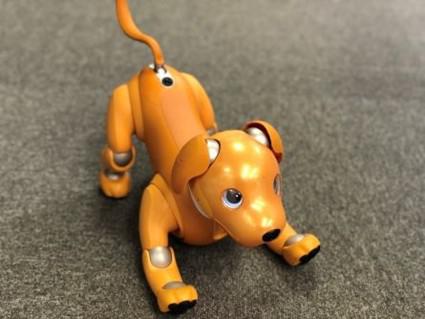 kami-aibo_20210125-2.jpg