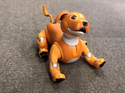 kami-aibo_20210125-3.jpg