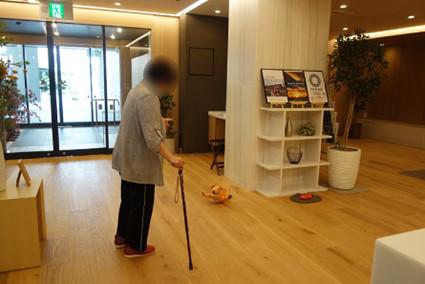 kami-aibo_20210803-1.jpg
