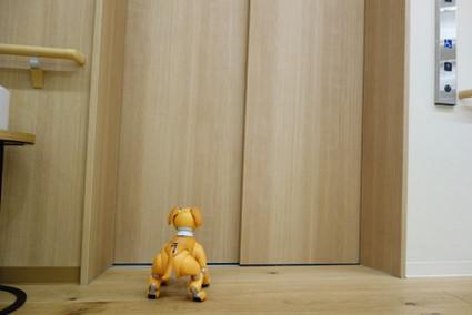 kami-aibo_20210803-2.jpg