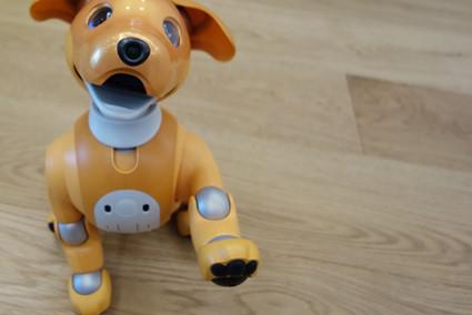 kami-aibo_20210803-4.jpg