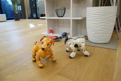 kami-aibo_20211104-1.jpg