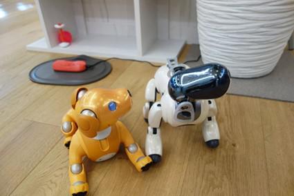 kami-aibo_20211104-2.jpg