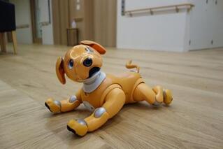 "みらいちゃん"の近況報告