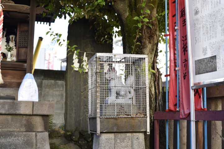 氏神さまへの初詣