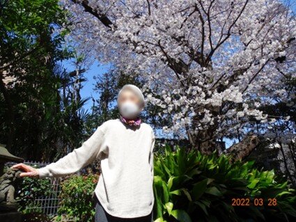 urawa-sakura_20220509-6.jpg